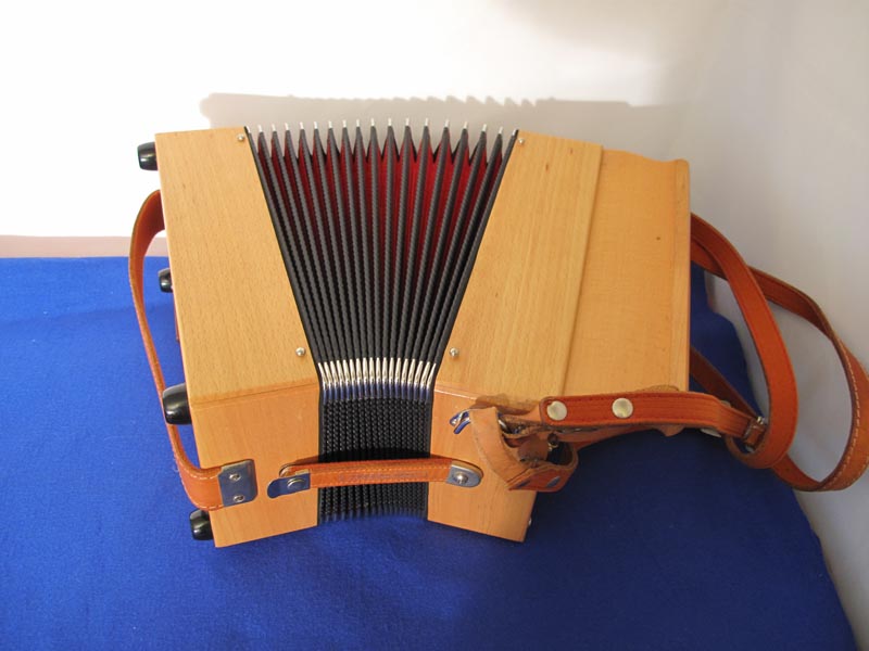 Castagnari Studio D-G button accordion